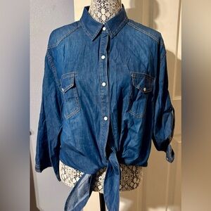Denim Button Down Shirt size 2X